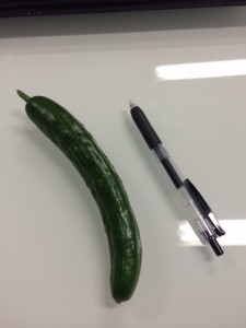 きゅうり